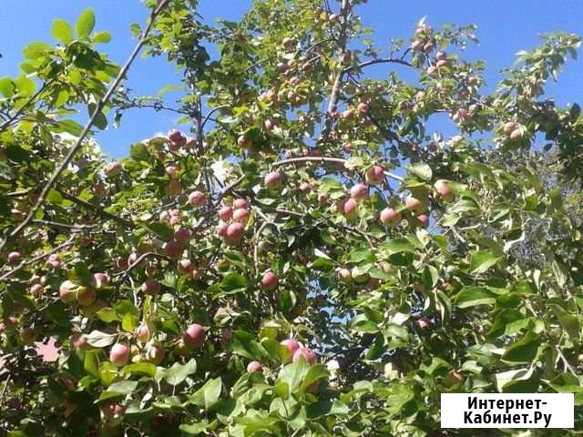 Дача 60 м² на участке 6 сот. на продажу в Казани Казань - изображение 1