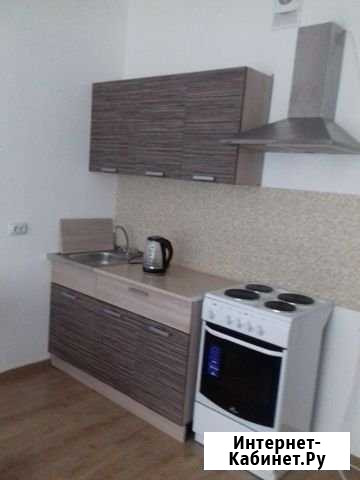 Квартира-студия, 24 м², 3/17 эт. в аренду на длительный срок в Мурино Мурино - изображение 1