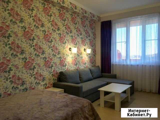 1-комнатная квартира, 40 м², 1/3 эт. в аренду на длительный срок в Сочи Сочи - изображение 1