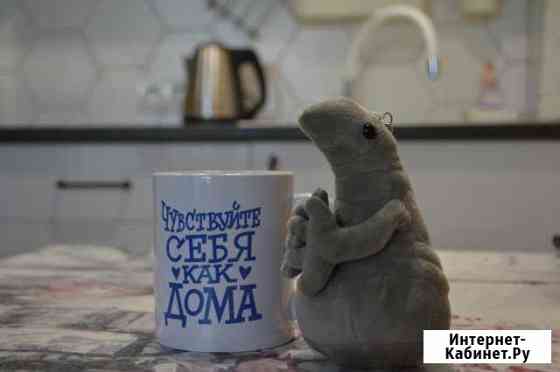 1-комнатная квартира, 45 м², 8/9 эт. в аренду посуточно в Новосибирске Новосибирск