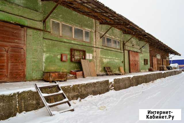 Складское помещение, 800 кв.м. Пермь - изображение 1