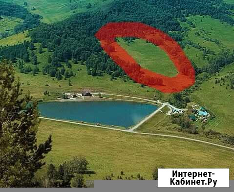 Участок СНТ, ДНП 1300 сот. на продажу в Алтайском Алтайское - изображение 1