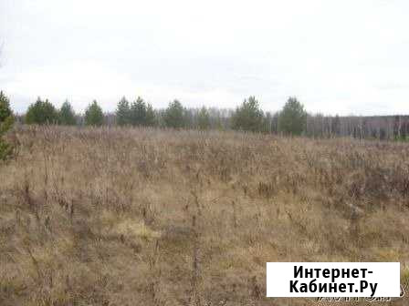 Участок СНТ, ДНП 500 сот. на продажу в Староуткинске Староуткинск - изображение 1