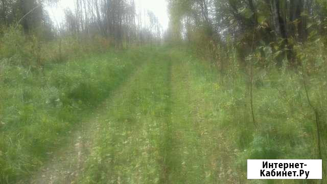 Участок ИЖС 15 сот. на продажу в Петушках Петушки - изображение 1