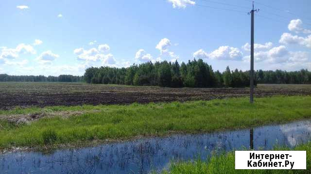 Участок СНТ, ДНП 12 сот. на продажу в Омске Омск - изображение 1