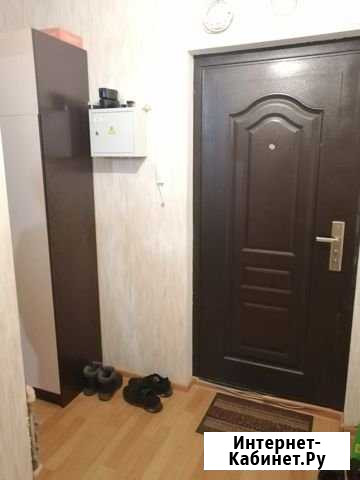 1-комнатная квартира, 40 м², 7/9 эт. в аренду на длительный срок в Колпино Колпино - изображение 1