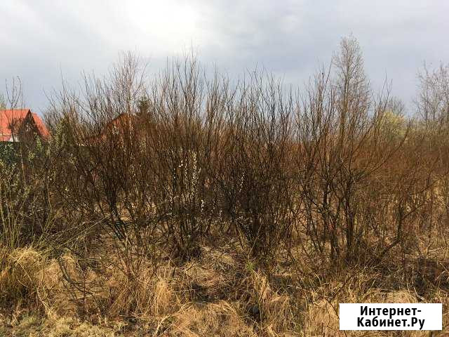 Участок СНТ, ДНП 6 сот. на продажу в Давыдово Давыдово - изображение 1