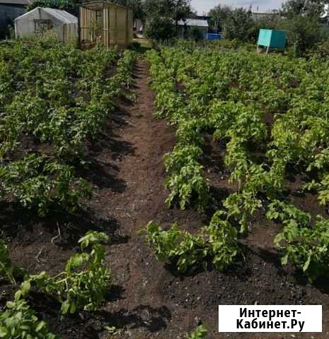 Участок СНТ, ДНП 6 сот. на продажу в Челябинске Челябинск - изображение 1