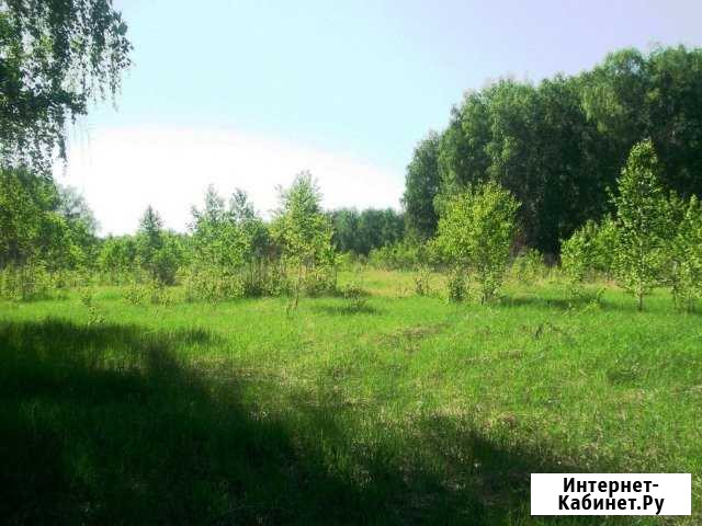 Участок СНТ, ДНП 100 сот. на продажу в Копейске Копейск - изображение 1