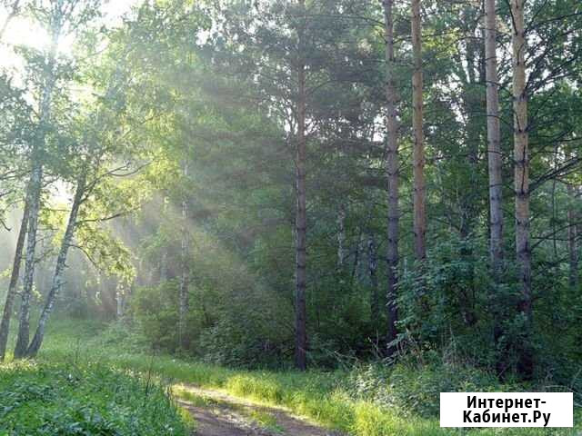 Участок СНТ, ДНП 15 сот. на продажу в Красноярске Красноярск - изображение 1