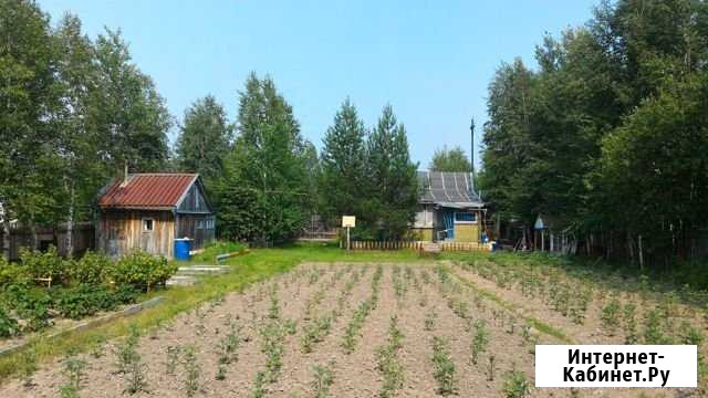 Дача 30 м² на участке 18 сот. на продажу в Нижневартовске Нижневартовск - изображение 1