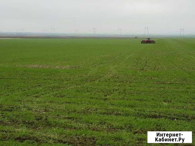 Участок СНТ, ДНП 7900 сот. на продажу в Канглах Канглы - изображение 1