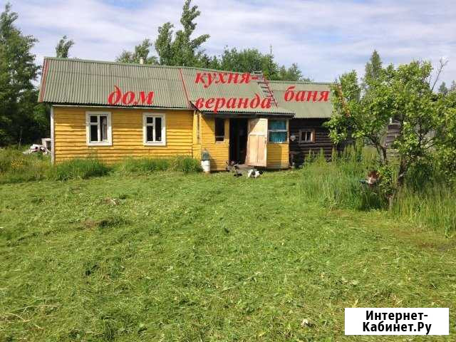Дача 30 м² на участке 12 сот. на продажу в Отрадном Ленинградской области Отрадное - изображение 1