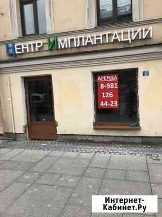 Видовое проходное помещение, 57 кв.м. Санкт-Петербург