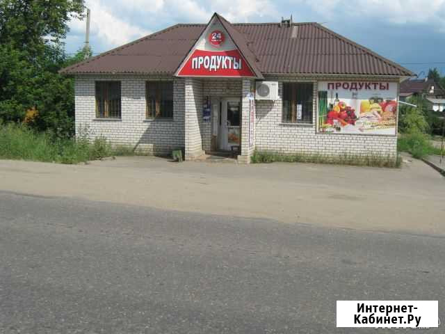 Продам магазин (готовый бизнес), г. Струнино ул. Ч Александров - изображение 1