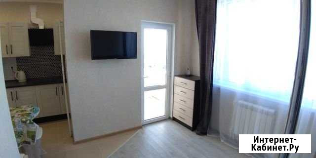 1-комнатная квартира, 26 м², 2/2 эт. в аренду на длительный срок в Сочи Сочи - изображение 1