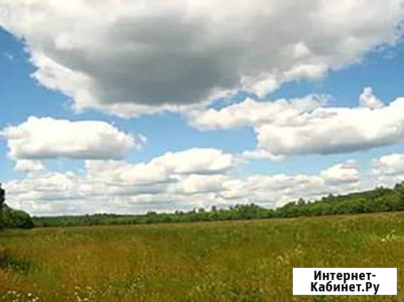 Участок ИЖС 1330 сот. на продажу в Лобне Лобня - изображение 1