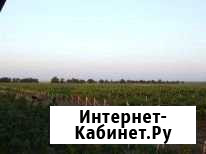 Участок СНТ, ДНП 41 сот. на продажу в Феодосии Феодосия - изображение 1