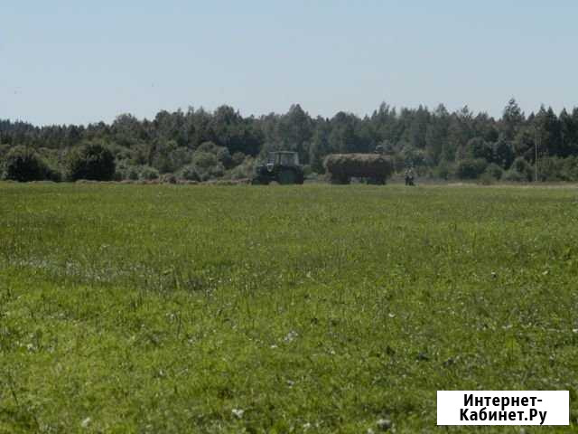 Участок СНТ, ДНП 1200 сот. на продажу в Невеле Невель - изображение 1