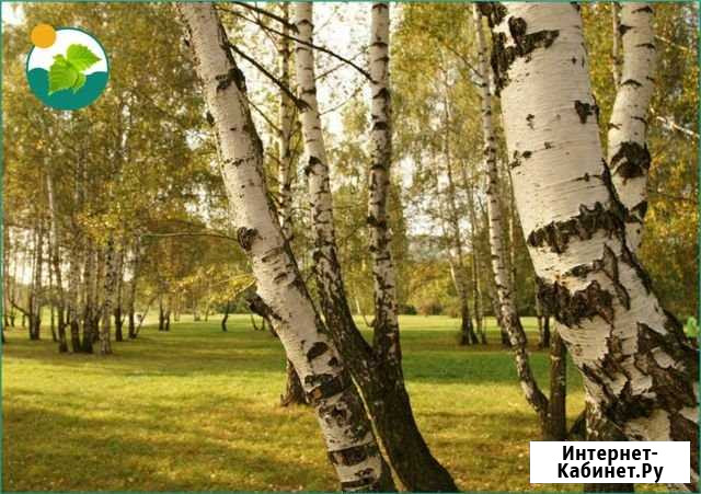 Участок ИЖС 9 сот. на продажу в Новосибирске Новосибирск - изображение 1