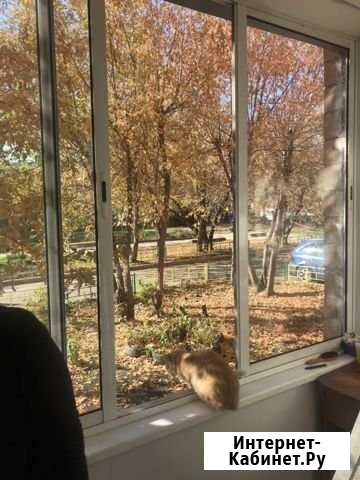 2-комнатная квартира, 46.5 м², 1/5 эт. на продажу в Красноярске Красноярск - изображение 1