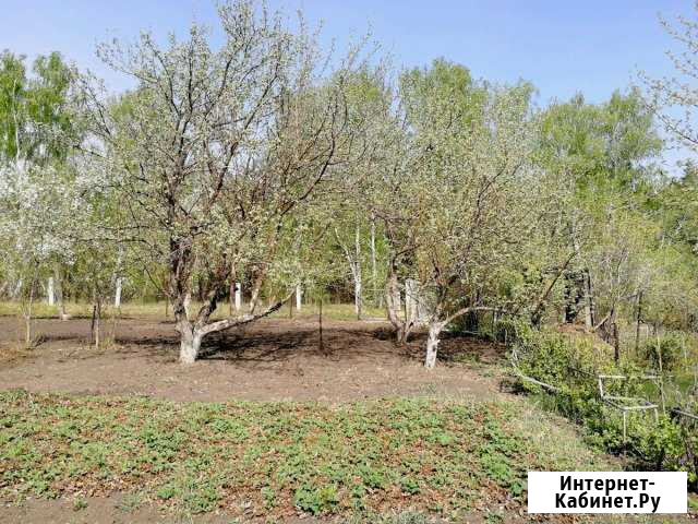 Дача 20 м² на участке 4 сот. на продажу в Южноуральске Южноуральск - изображение 1