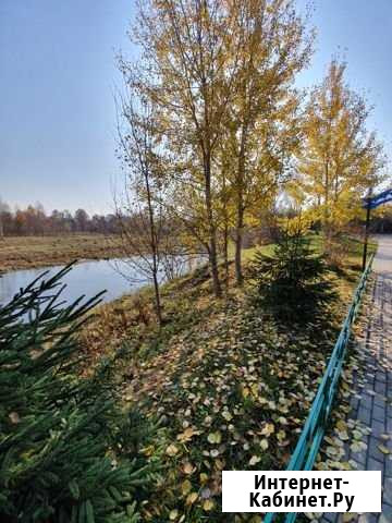 Дом 74 м² на участке 10.6 сот. на продажу в Пушкино Пушкино - изображение 1