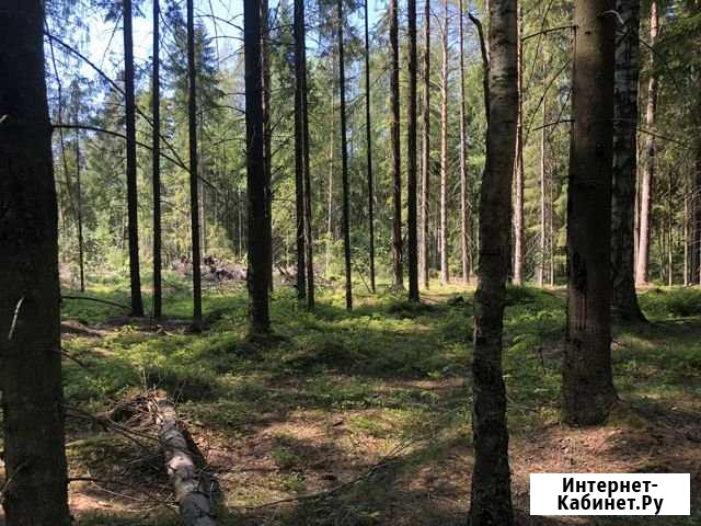 Участок СНТ, ДНП 12 сот. на продажу в Санкт-Петербурге Санкт-Петербург - изображение 1