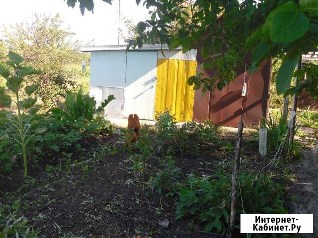 Дача 20 м² на участке 14 сот. на продажу в Курске Курск - изображение 1