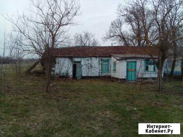 Дом 80 м² на участке 50 сот. на продажу в Курсавке Курсавка - изображение 1