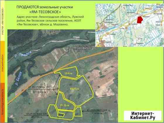 Участок СНТ, ДНП 16300 сот. на продажу в Толмачево Ленинградской области Толмачево