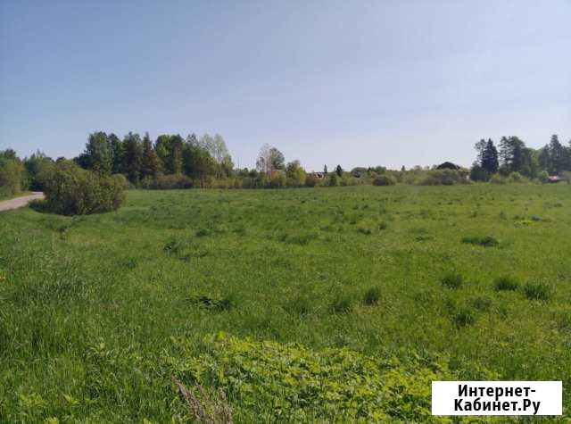 Участок ИЖС 240 сот. на продажу в Приозерске Приозерск - изображение 1