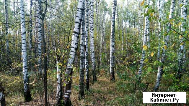 Участок ИЖС 10 сот. на продажу в Королеве Королев - изображение 1