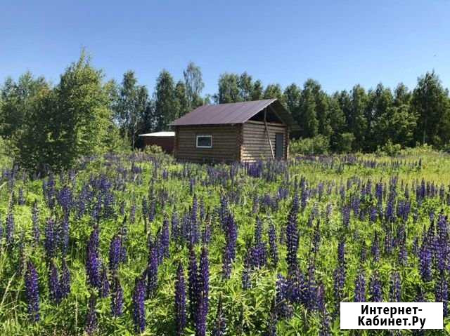 Участок ИЖС 10 сот. на продажу в Дальнем Константиново Дальнее Константиново - изображение 1