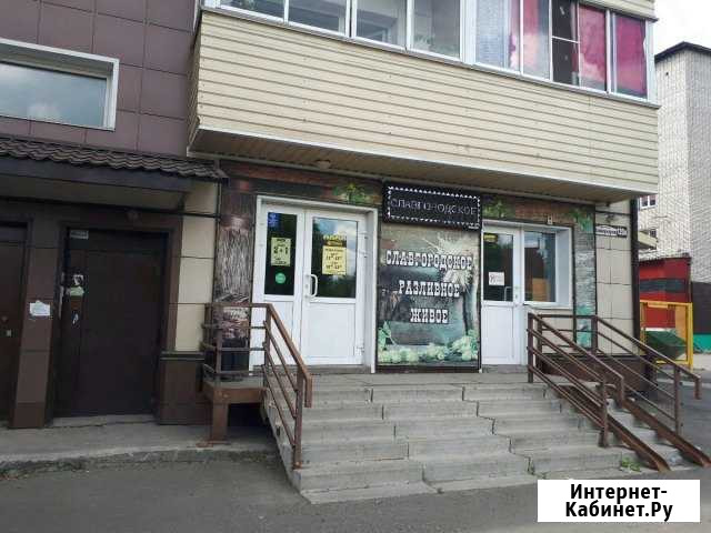 Помещение свободного назначения, 55 кв.м. Барнаул - изображение 1