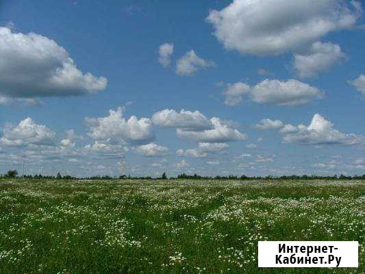 Участок ИЖС 10 сот. на продажу в Пскове Псков - изображение 1