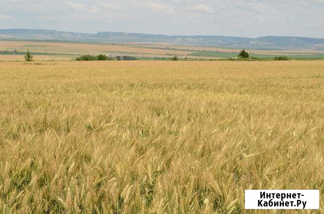 Участок ИЖС 40 сот. на продажу в Одоеве Одоев - изображение 1