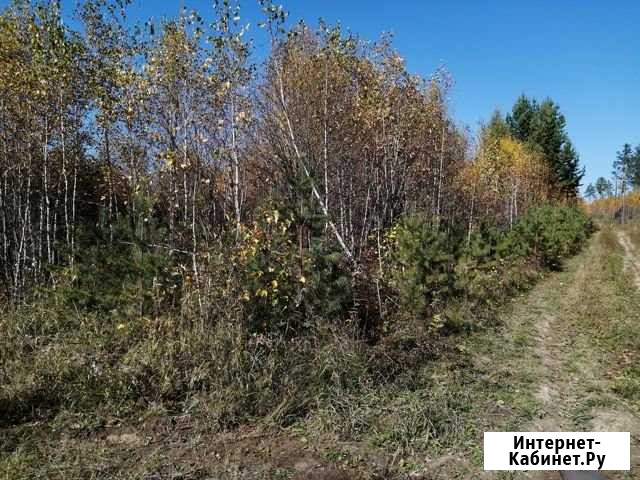 Участок СНТ, ДНП 20 сот. на продажу в Иркутске Иркутск - изображение 1