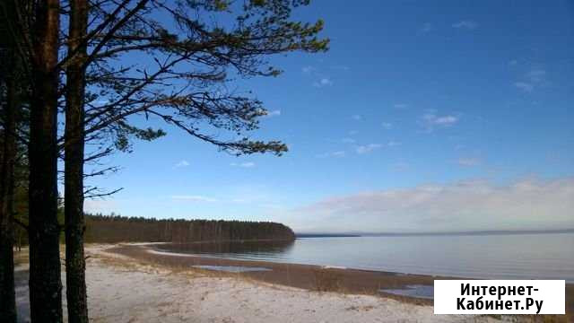 Участок СНТ, ДНП 12 сот. на продажу в Приозерске Приозерск - изображение 1