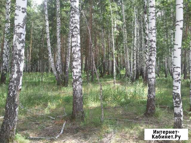 Участок ИЖС 12 сот. на продажу в Арамиле Арамиль - изображение 1
