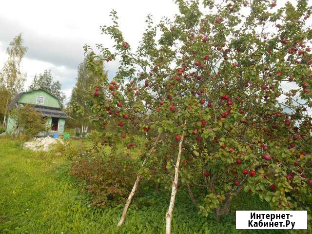 Участок ИЖС 9 сот. на продажу в Санкт-Петербурге Санкт-Петербург - изображение 1