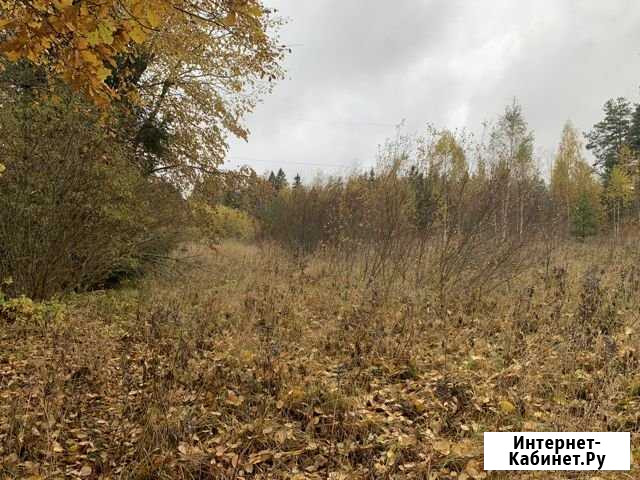 Участок ИЖС 20 сот. на продажу в Дружной Горке Дружная Горка - изображение 1