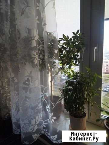 Комната 19 м² в 1-ком. кв., 3/9 эт. на продажу в Лобне Лобня - изображение 1