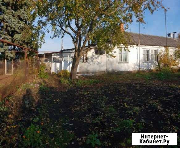 Дом 40 м² на участке 5 сот. на продажу в Плавице Плавица - изображение 1
