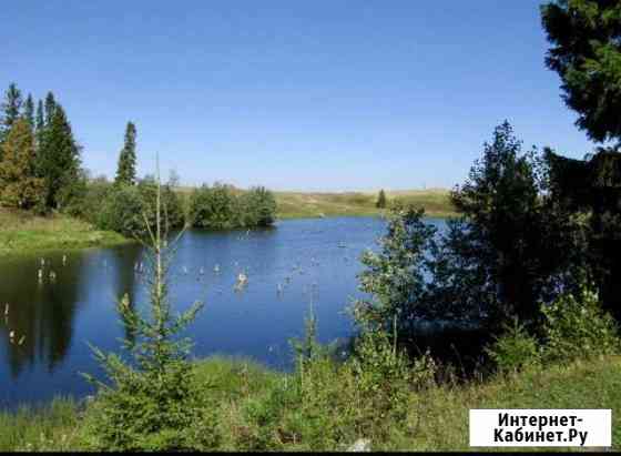 Участок СНТ, ДНП 330 сот. на продажу в Перми Пермь