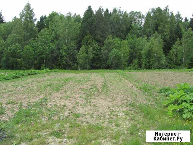 Участок СНТ, ДНП 5 сот. на продажу в Правдинском Правдинский - изображение 1