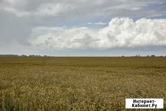 Участок промназначения 733 сот. на продажу в Сокольниках Сокольники - изображение 1