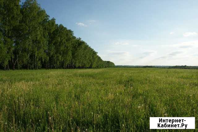 Участок СНТ, ДНП 77100 сот. на продажу в Арсеньево Арсеньево - изображение 1