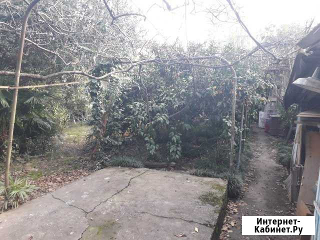 Дом 26 м² на участке 4 сот. на продажу в Сочи Сочи - изображение 1