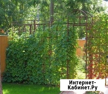 Шпалеры для вьющихся растений по размерам заказчика Лобня - изображение 2
